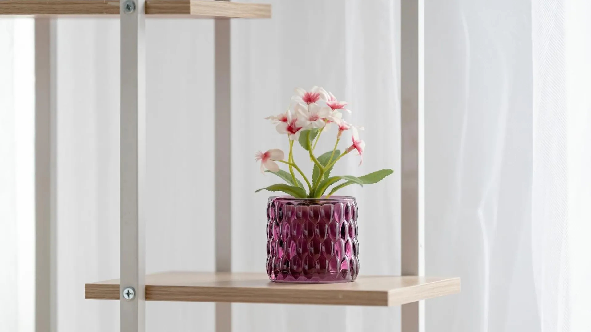 Spacious Apartments Niemena With Free Garage By Noclegi Renters Poznań